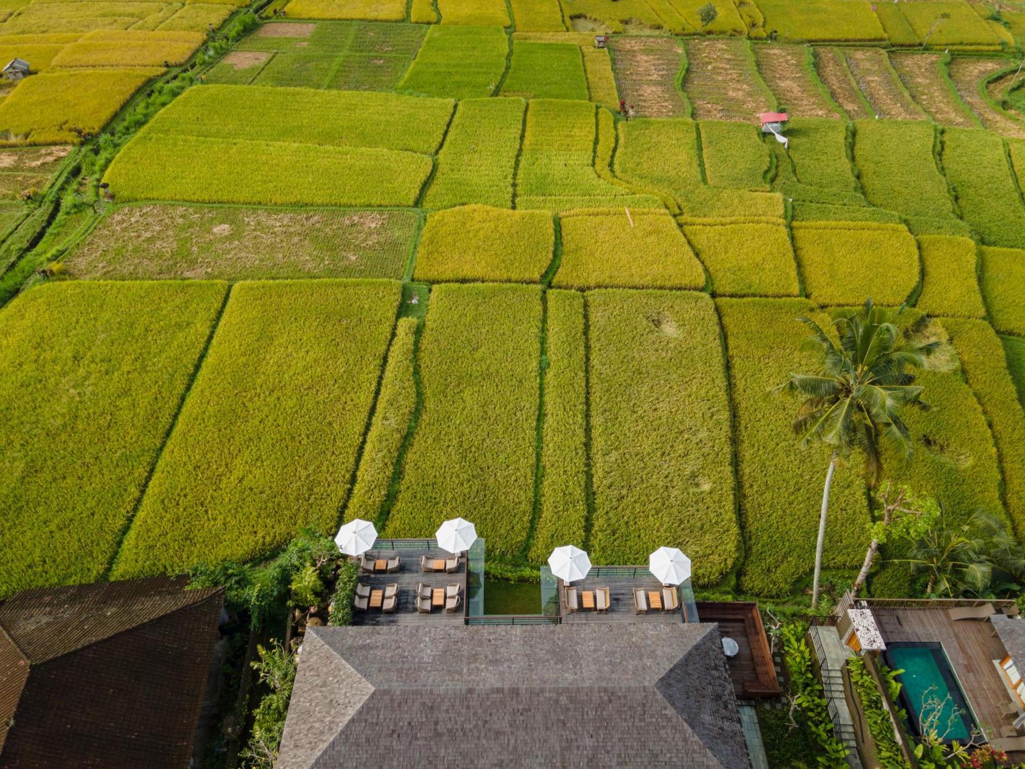Kappa Senses Ubud Екстер'єр фото