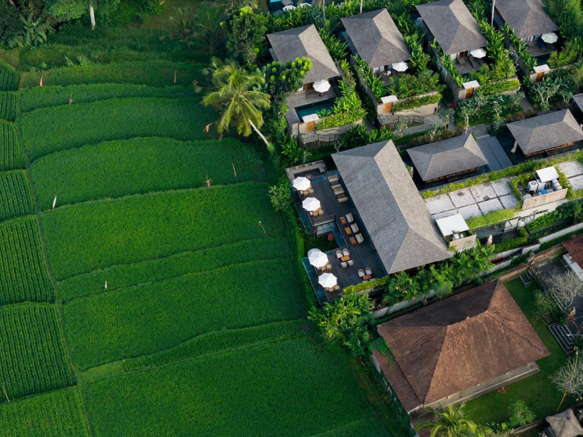 Kappa Senses Ubud Екстер'єр фото