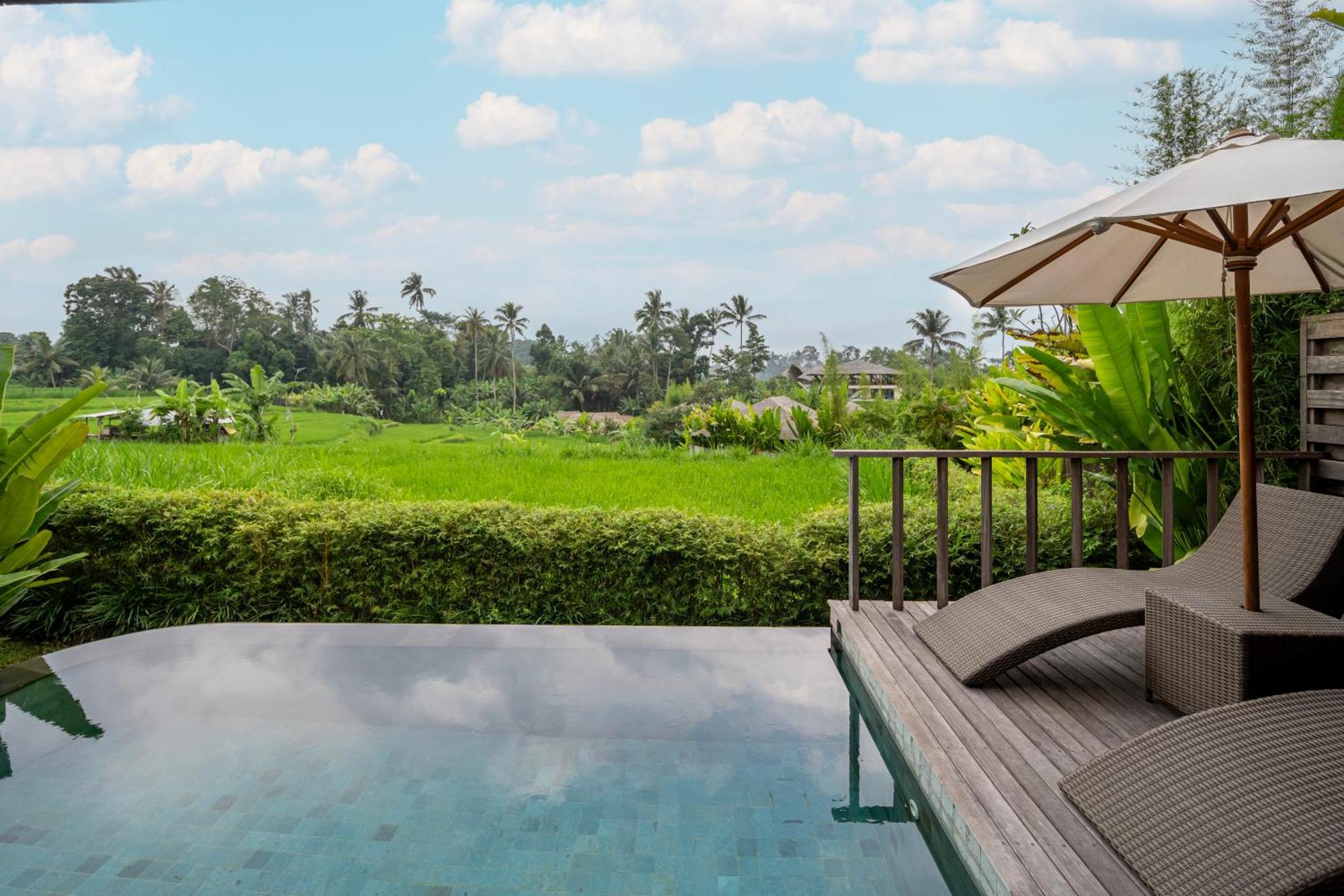 Kappa Senses Ubud Номер фото